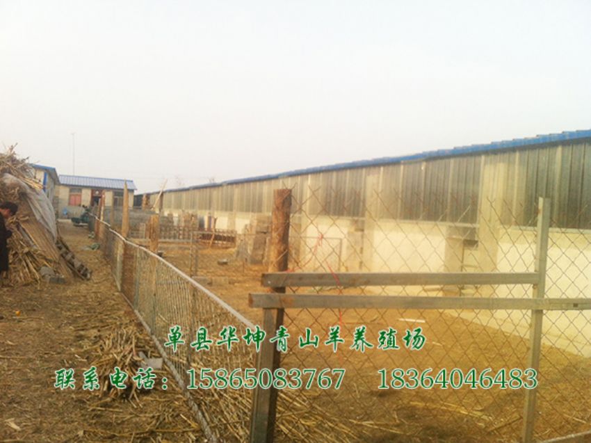 点击查看详细信息<br>标题：养殖基地 阅读次数：2741