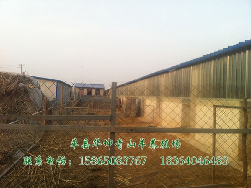 点击查看详细信息<br>标题：养殖基地 阅读次数：2772