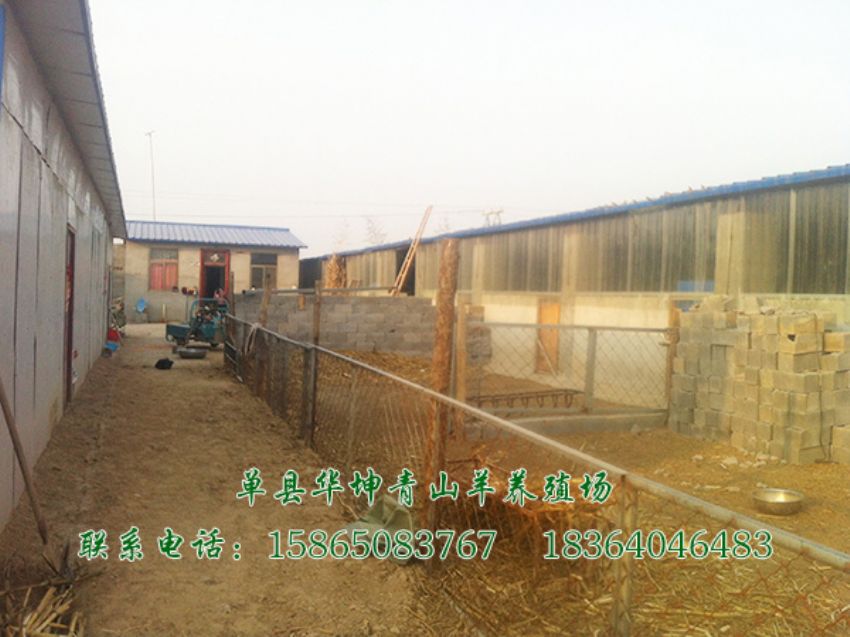 点击查看详细信息<br>标题：养殖基地 阅读次数：2783