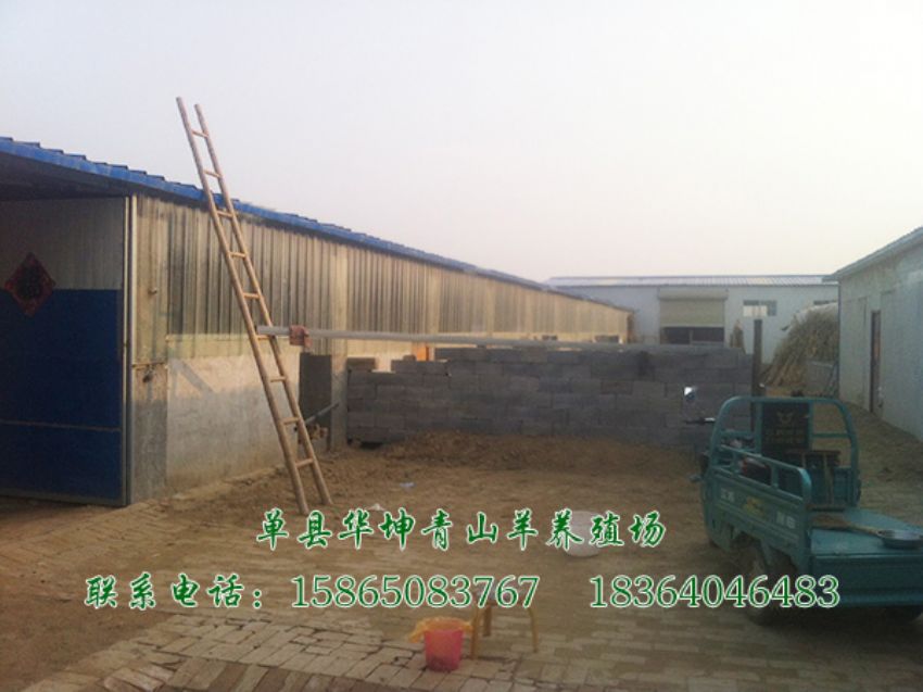 点击查看详细信息<br>标题：养殖基地 阅读次数：2732