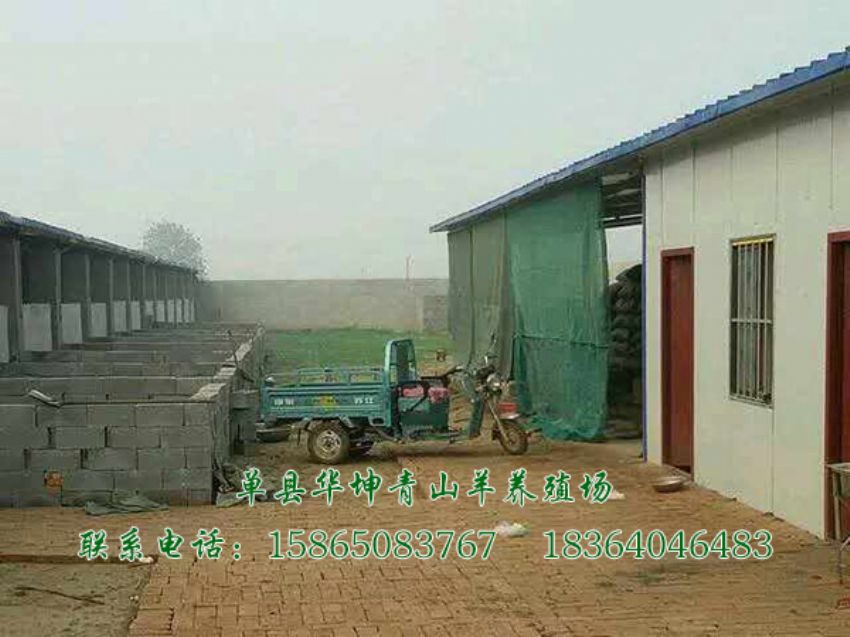 点击查看详细信息<br>标题：养殖基地 阅读次数：2933