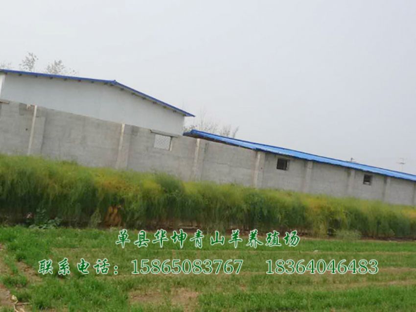 点击查看详细信息<br>标题：养殖基地 阅读次数：2801