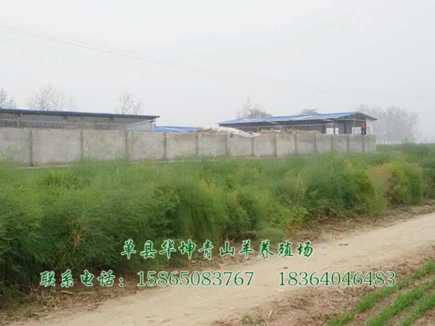 点击查看详细信息<br>标题：养殖基地 阅读次数：2758