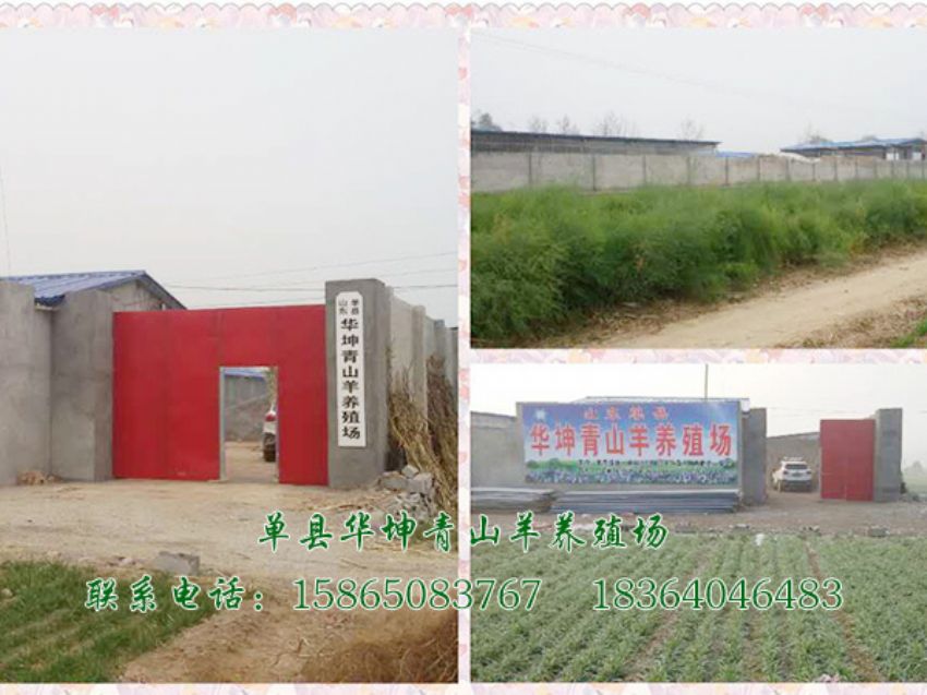 点击查看详细信息<br>标题：养殖基地 阅读次数：2944