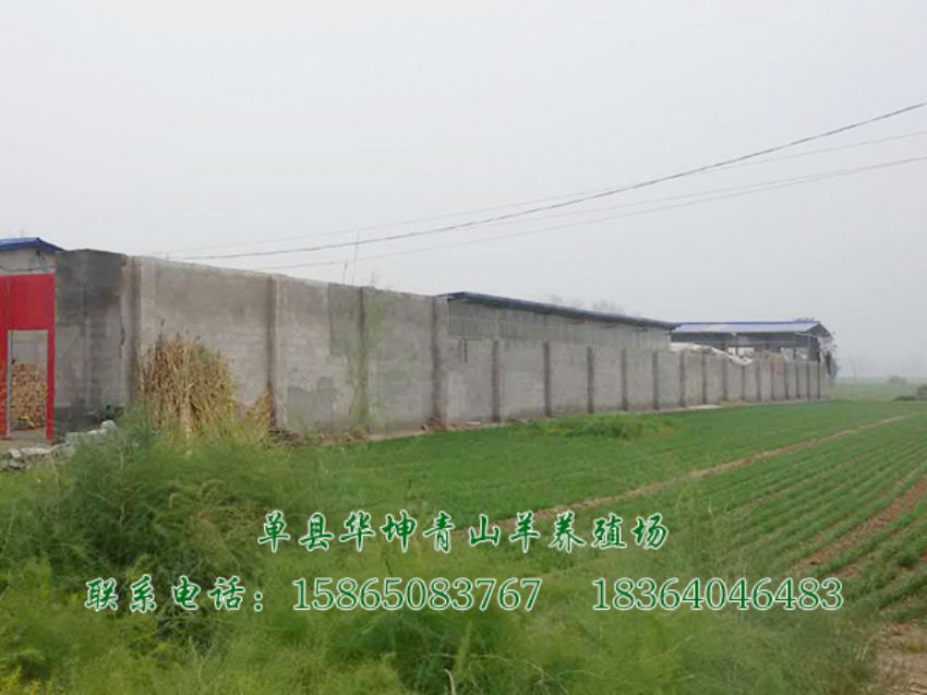 点击查看详细信息<br>标题：养殖基地 阅读次数：2807