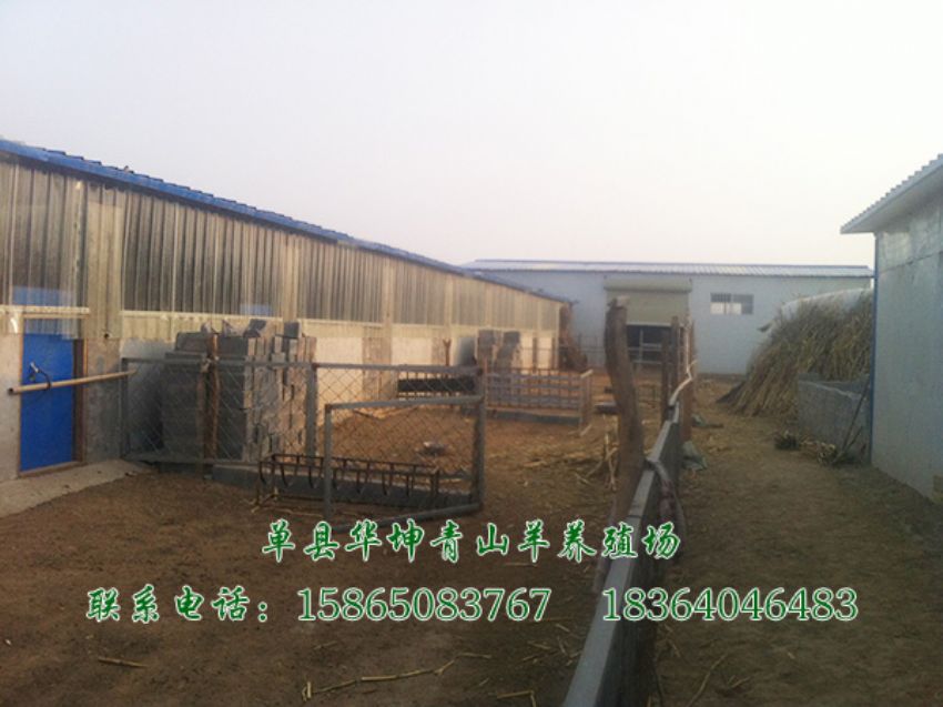 点击查看详细信息<br>标题：养殖基地 阅读次数：2770