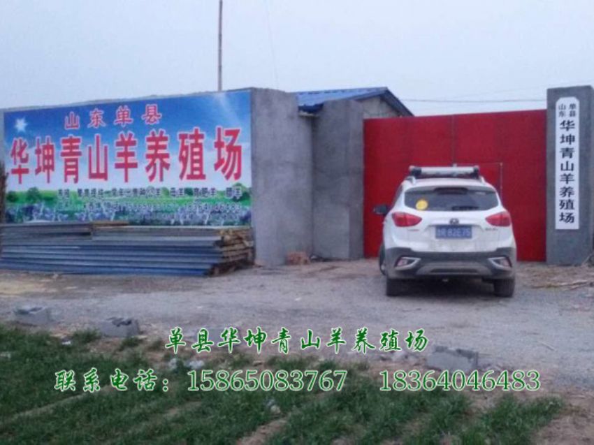 点击查看详细信息<br>标题：养殖基地 阅读次数：2890