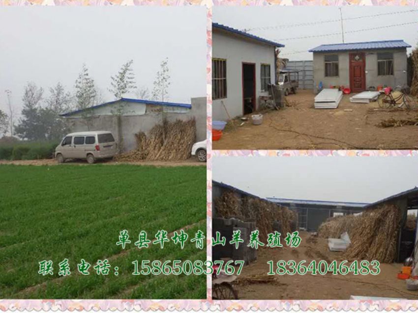 点击查看详细信息<br>标题：养殖基地 阅读次数：2808