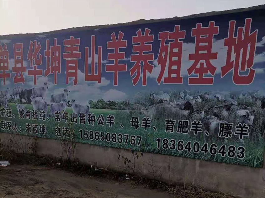 点击查看详细信息<br>标题：养殖基地 阅读次数：1747