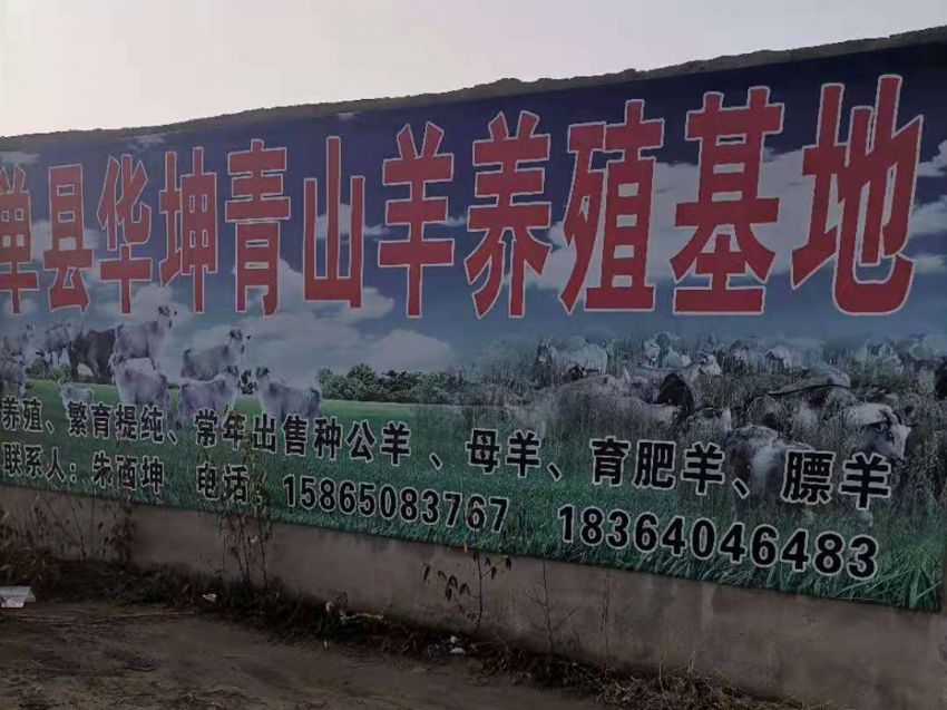 点击查看详细信息<br>标题：养殖基地 阅读次数：1775